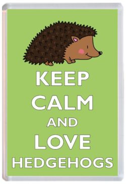 Keep Calm and Love Hedgehogs/Hedgehog - Jumbo Fridge Magnet