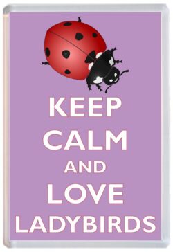 Keep Calm and Love Ladybird/Ladybirds - Jumbo Fridge Magnet