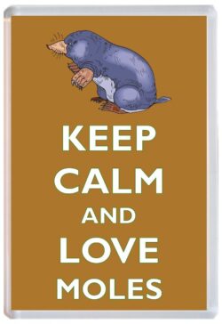 Keep Calm and Love Mole/Moles - Jumbo Fridge Magnet