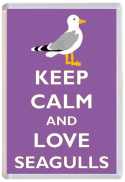 Keep Calm and Love Seagull/Seagulls - Jumbo Fridge Magnet