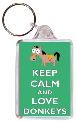 Keep Calm and Love Donkeys - Double Sided Large Keyring