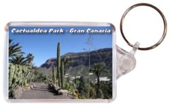 Cactualdea Cactus Park - Gran Canaria - Double Sided Large Keyring Key Fob Chain Ring 23GC1