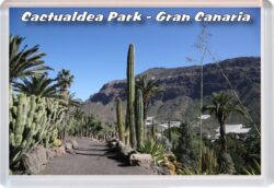 Cactualdea Cactus Park - Gran Canaria - Jumbo Fridge Magnet 23GC1
