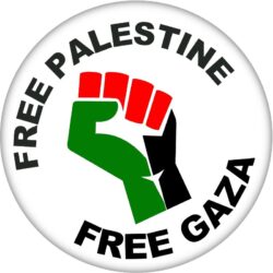 Free Palestine - Free Gaza - 59mm Pin Badge