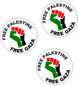3 PACK - Free Palestine - Free Gaza - 59mm Pin Badge