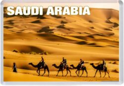 Fridge Magnet Dimensions: 96.00mm x 67.00mm Image/Photo Dimensions: 90.00mm x 60.00mm Good Quality Print Polystyrene Plastic (GPPS) These refrigerator magnets make great Holiday Gift Present Souvenirs