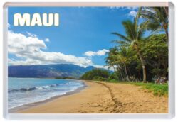 Maui- Hawaii - Jumbo Fridge Magnet 25H1