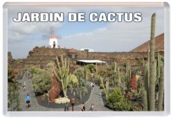 Jardin de Cactus - Lanzarote - Jumbo Fridge Magnet 25L1