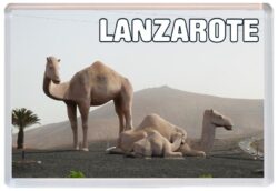 Lanzarote - Jumbo Fridge Magnet 25L1