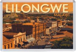 Lilongwe - Malawi - Africa - Artistic Jumbo Fridge 25A1