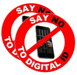 No to Digital ID - TWO PACK - Car Bumper Window Decal Sticker