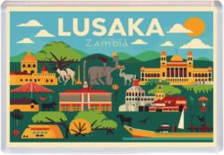 Lusaka - Zambia - Africa - Artistic Jumbo Fridge 25A1