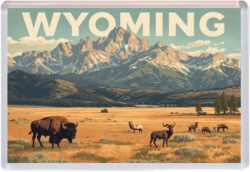 Wyoming - USA - Artistic Jumbo Fridge Magnet 25US1