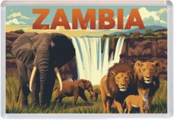 Zambia - Africa - Artistic Jumbo Fridge 25A1
