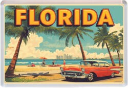 Florida - USA - Artistic Jumbo Fridge Magnet 25US1