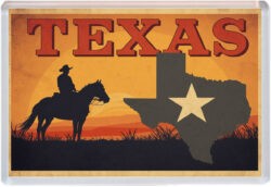 Texas - USA - Artistic Jumbo Fridge Magnet 25US1