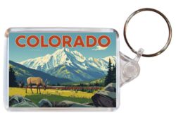 Colorado - USA - Artistic Double Sided Large Keyring 26US1
