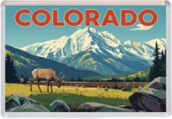 Colorado - USA - Artistic Jumbo Fridge Magnet 26US1
