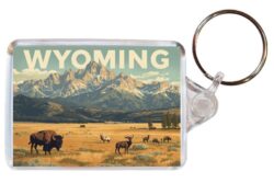 Wyoming - USA - Artistic Double Sided Large Keyring 26US1