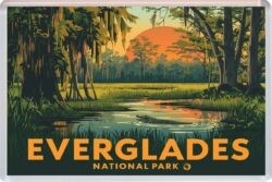Everglades National Park - USA - Jumbo Fridge Magnet 26US1