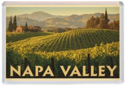 Napa Valley - USA - Artistic Jumbo Fridge Magnet 26US1