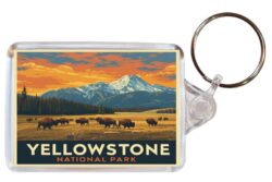 Yellowstone National Park - USA - Artistic Double Sided Large Keyring 26US1