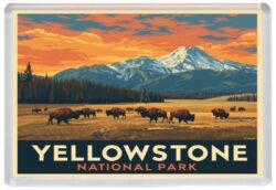 Yellowstone National Park - USA - Artistic Jumbo Fridge Magnet 26US1